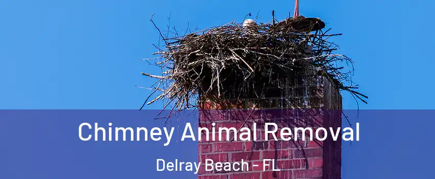 Chimney Animal Removal Delray Beach - FL