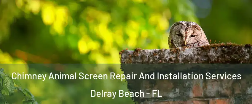  Chimney Animal Screen Repair And Installation Services Delray Beach - FL