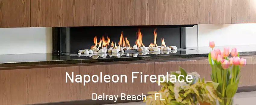  Napoleon Fireplace Delray Beach - FL